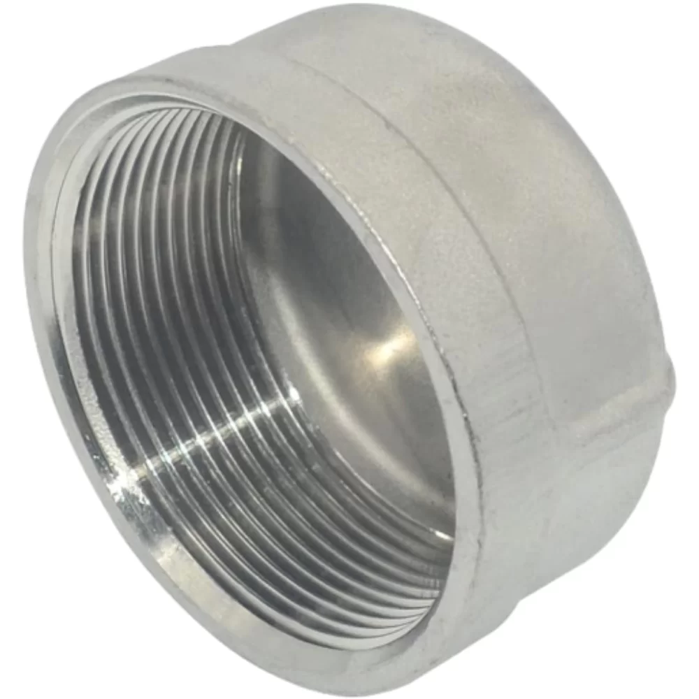 Stainless Steel Pipe Caps